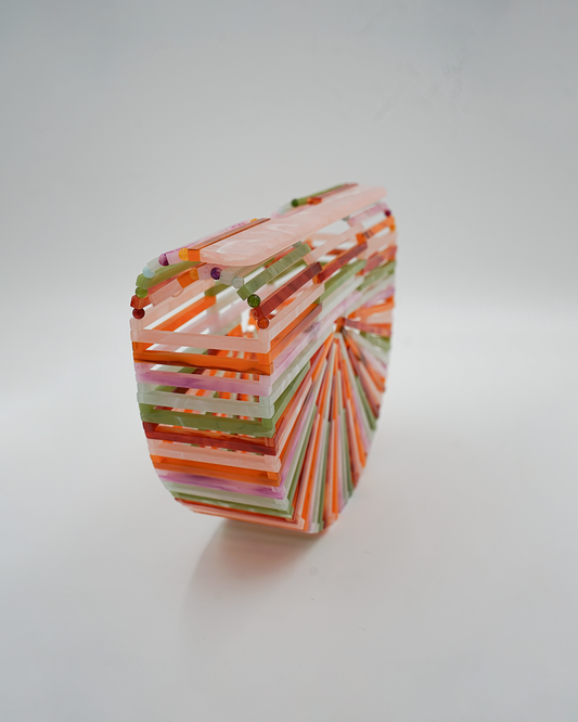 Multicolor Acrylic Ark Clutch
