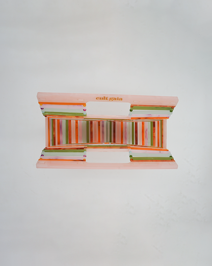 Multicolor Acrylic Ark Clutch
